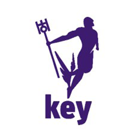 drive key logo